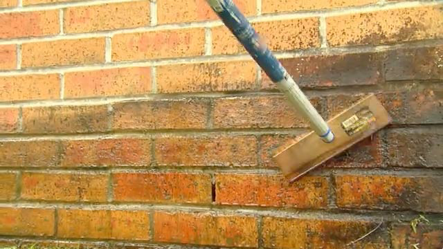 Mold The Danger In Your Walls Rai Blog Their Time Within Enclosed Buildings With Over 60 Of That Inside Own Homes The Continual Maintenance And Upkeep A Mold Free Home Should